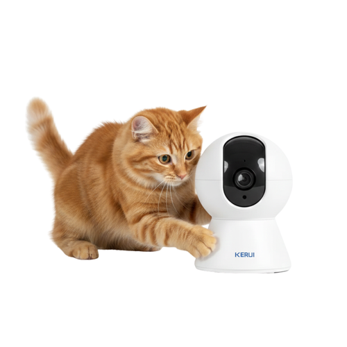 Caméra de surveillance pour chat
