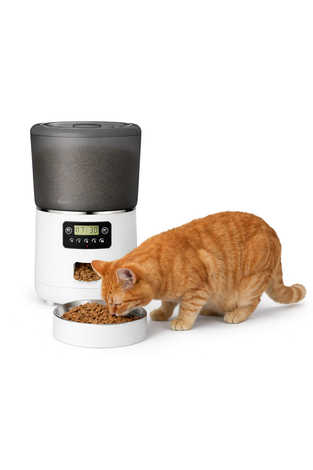 Distributeur de croquettes intelligent pour chat