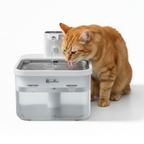 Fontaine à eau automatique pour chat