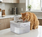 Fontaine à eau automatique pour chat