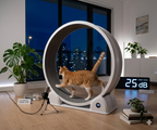 Roue d'exercice pour chat d'appartement