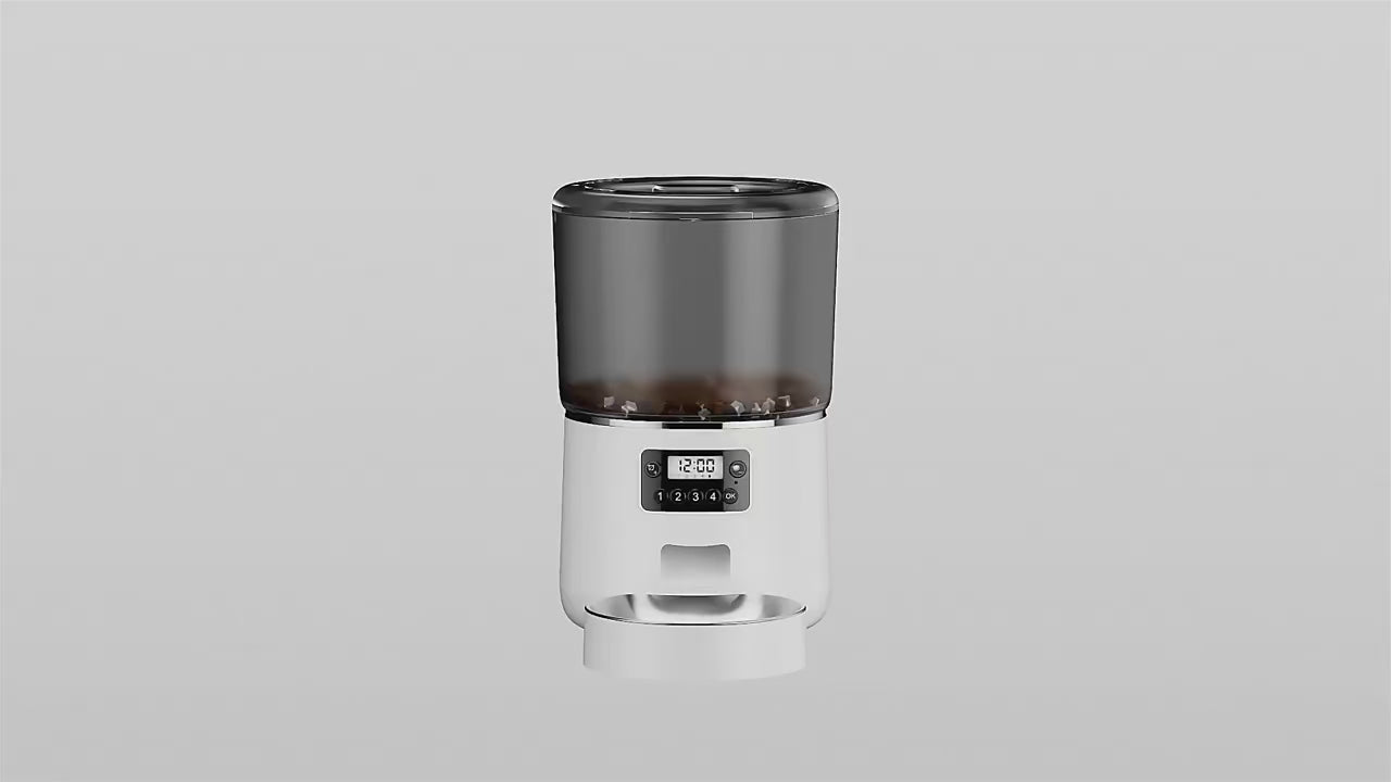 Vidéo mise en situation 1 distributeur de croquette pour chat chatdinterieur.fr